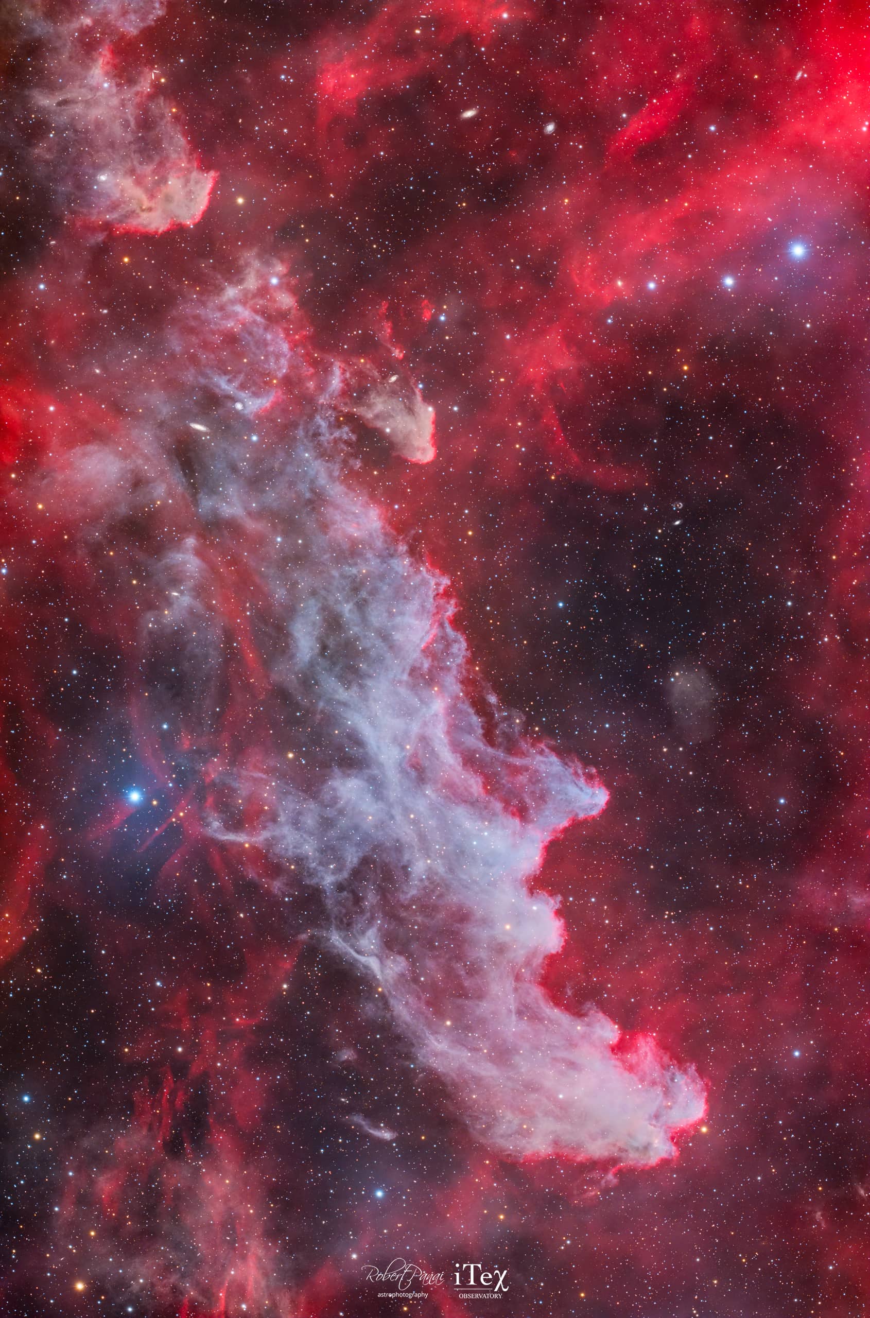 The Witch Head Nebula